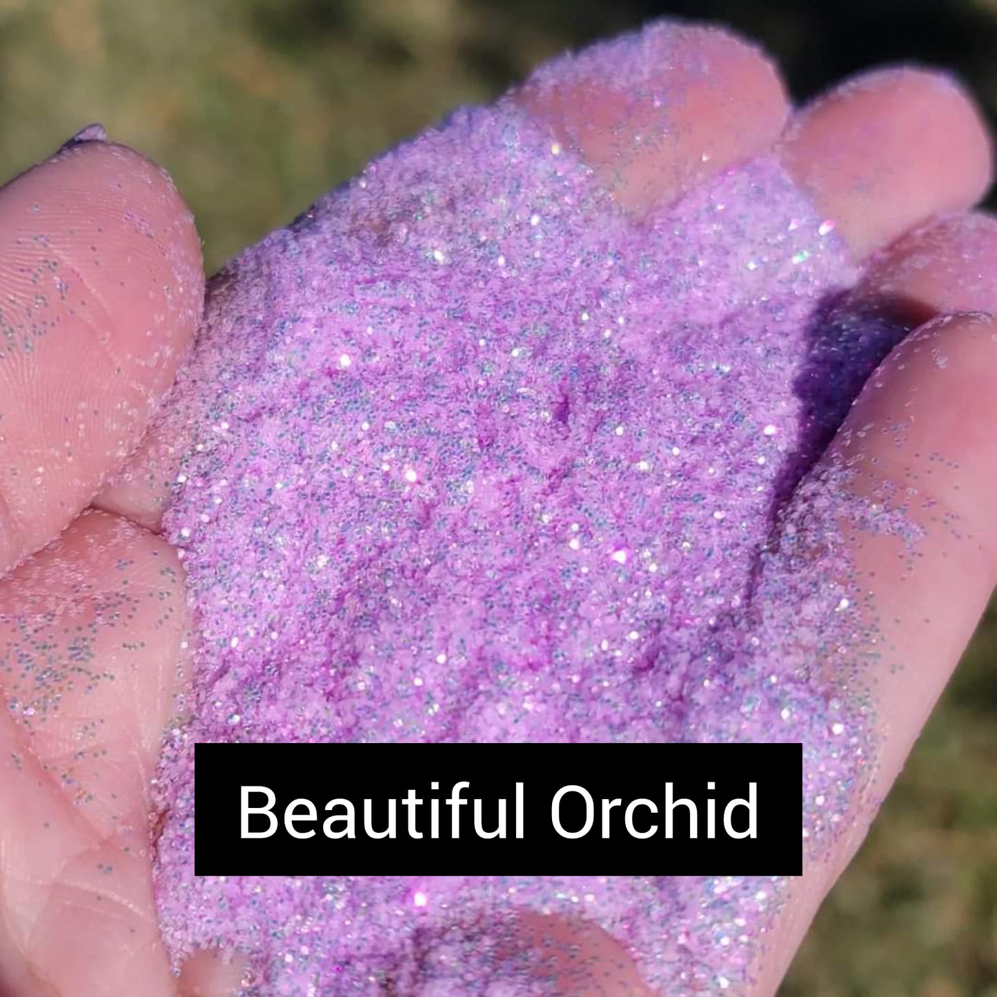 Beautiful Orchid