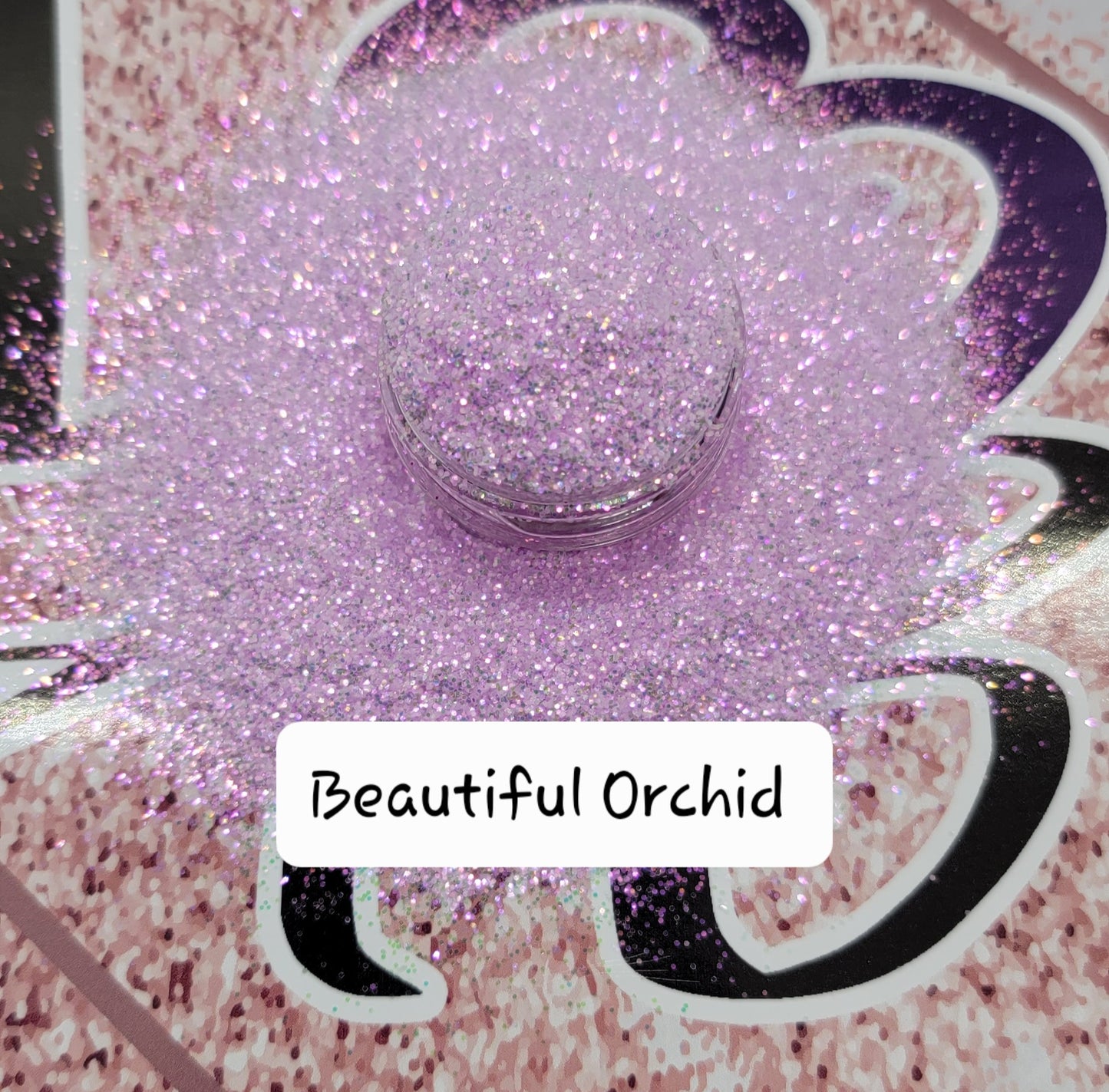 Beautiful Orchid