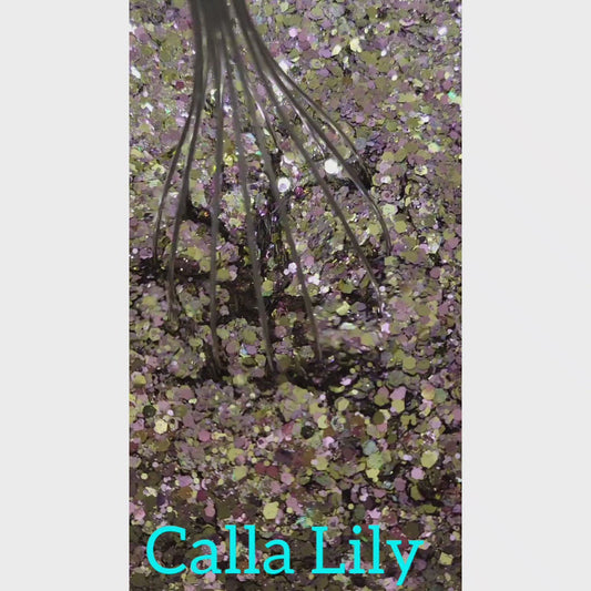 Calla Lily